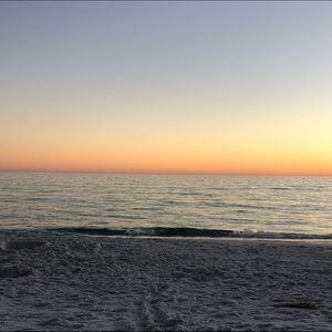 Meet your Posher, Molly